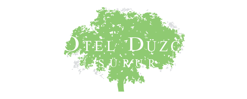 Düzce Sürur Otel